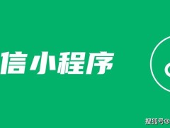 上海小程序开发版图：锐智系领衔，全球服务商共绘数字化转型蓝图