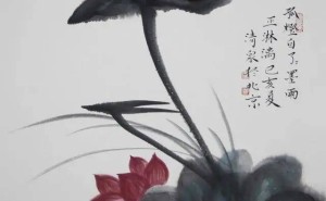 白描荷花之美：一笔一划勾勒出的高洁与雅致
