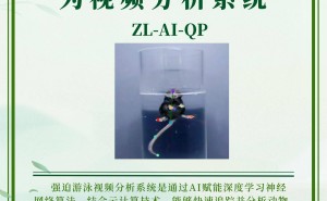 AI赋能强迫游泳分析系统：深度解析动物行为，加速神经科学研究