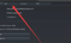 Roblox匹配难题破解法：提升连接质量，优化游戏设置全攻略