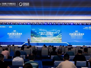 开源鸿蒙生态蓬勃发展：社区壮大，行业落地加速，共筑开发者未来
