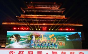 《鞭花舞出幸福歌》舞动盐池，山西文化风采闪耀沿黄九省广场舞展演