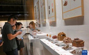 故宫文华殿：北京中轴线篆刻艺术展盛况空前