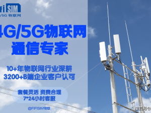 4G/5G物联网赋能激光雷达，重塑行业监测与决策新生态
