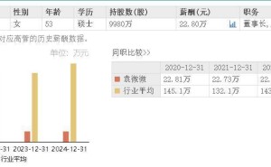 智微智能上半年业绩亮眼，女掌门袁微微年薪稳健五连庄