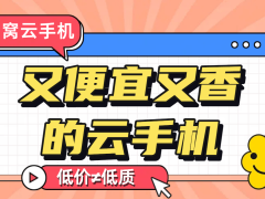 蜂窝云手机：实惠之选，性能不俗，云端体验新升级
