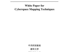 2025网络空间测绘技术白皮书：探索数字疆域，引领未来安全新航向