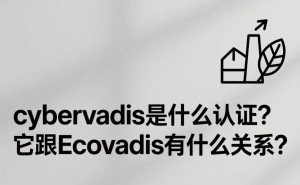 CyberVadis与EcoVadis：两大EcoVadis旗下认证的区别与联系