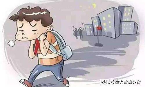 大黄蜂教育