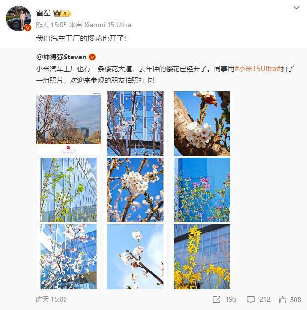 武汉樱花盛开