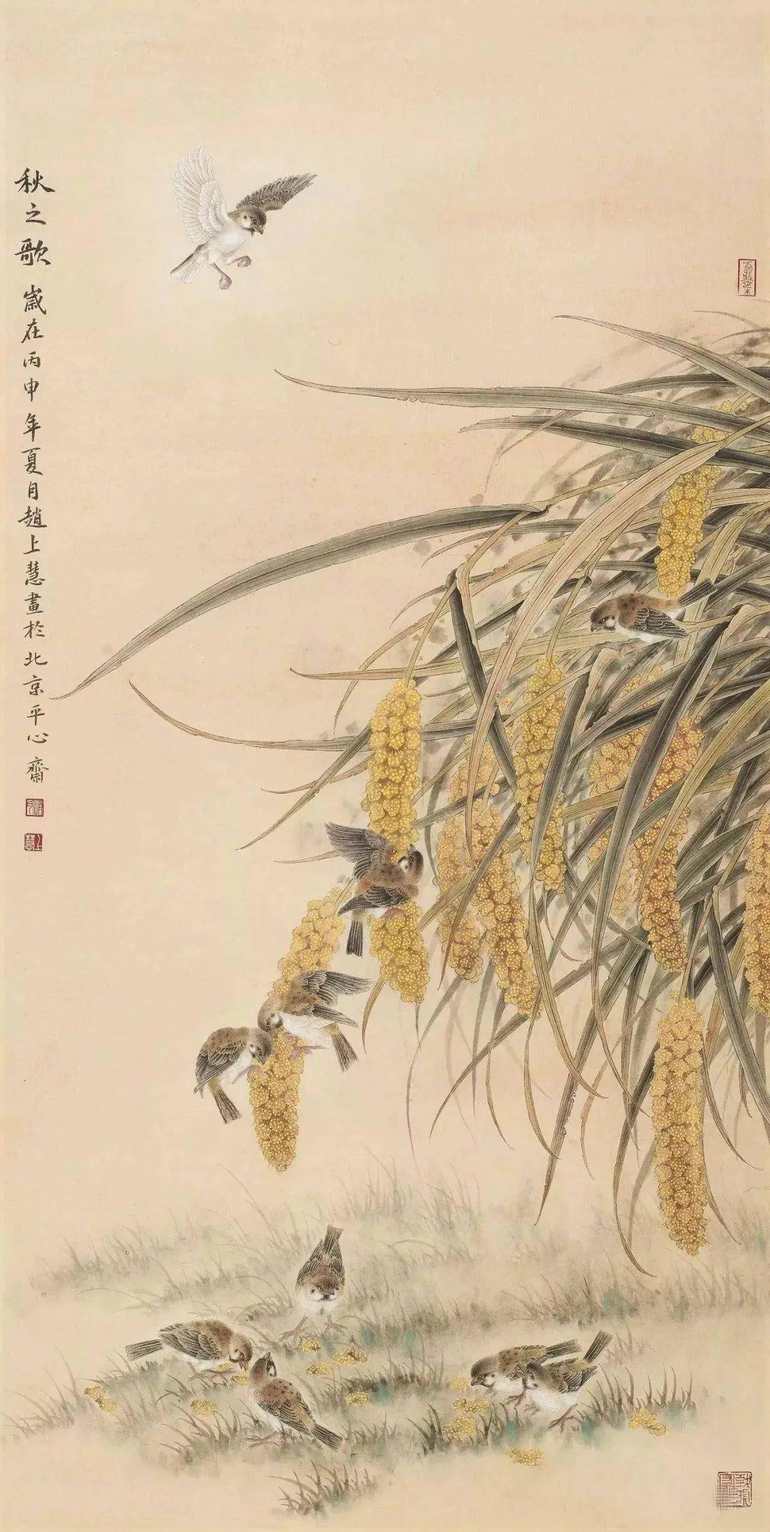 赵上慧作品