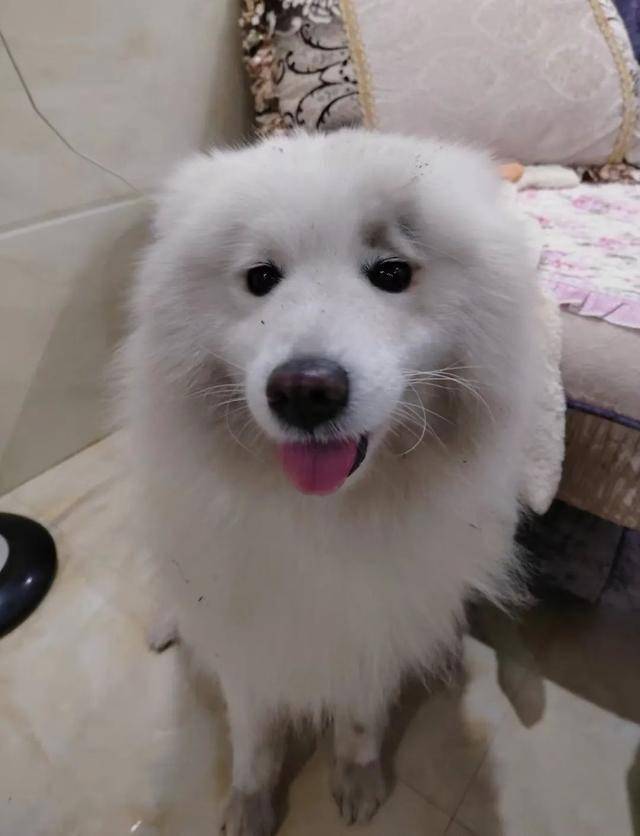 小煤炭耶耶