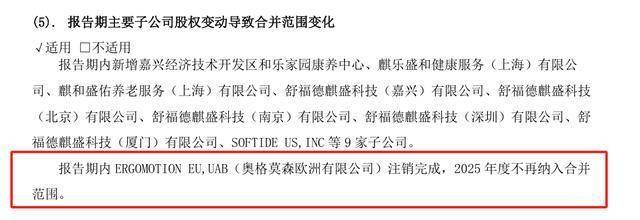 麒盛科技财报数据