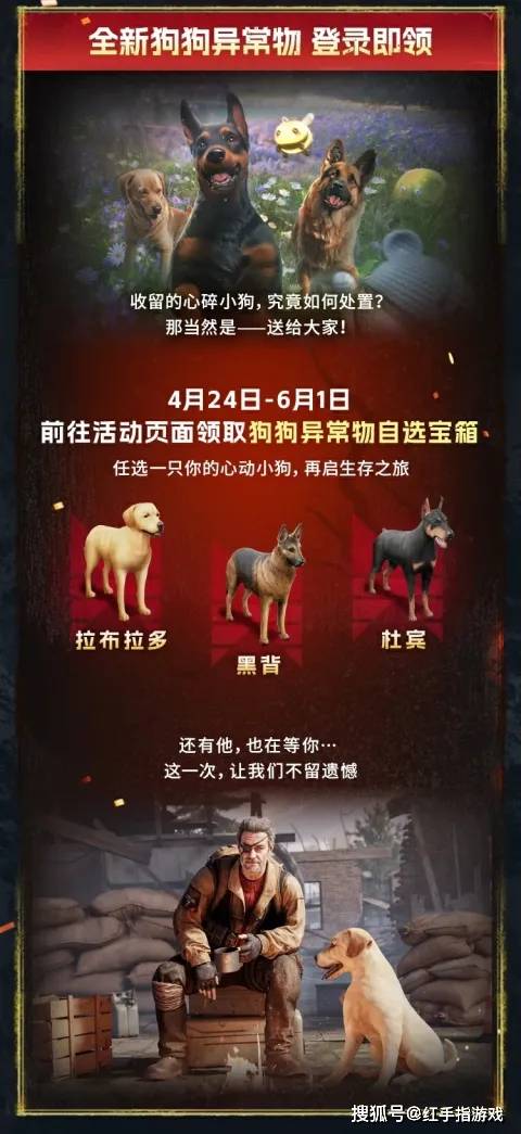 心碎小狗形象