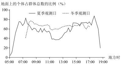 非洲冰鼠活动规律观测图