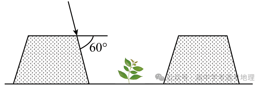 经济苗木种植垄沟示意图