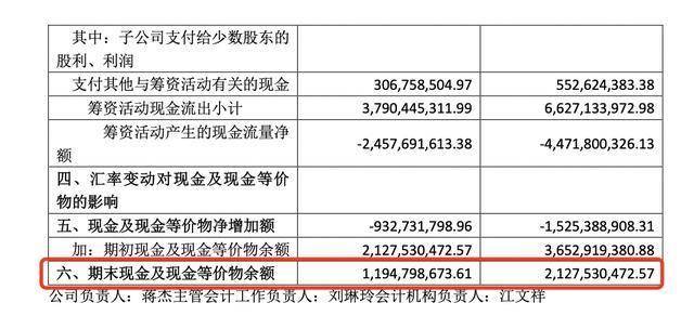 华宇集团现金及现金等价物余额