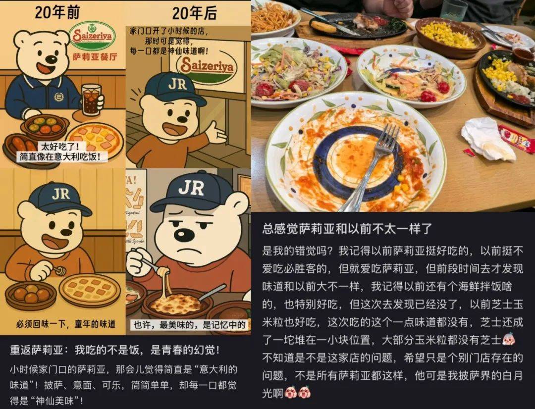 消費(fèi)者對(duì)薩莉亞的評(píng)價(jià)