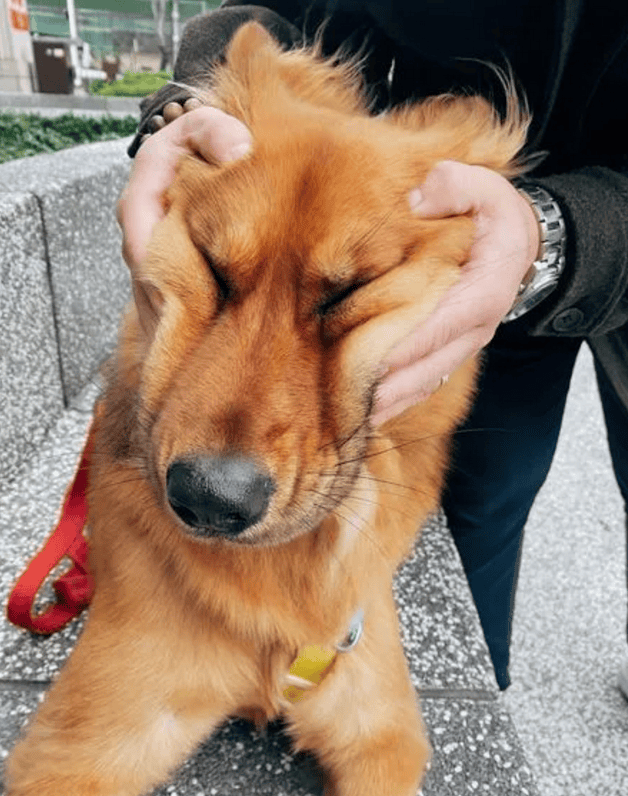 囧妈的特别要求