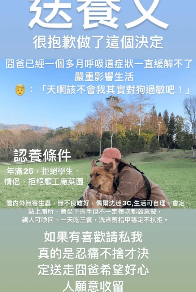 领养信息截图