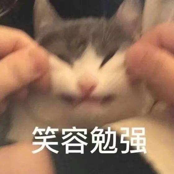 新高三学生复习安排