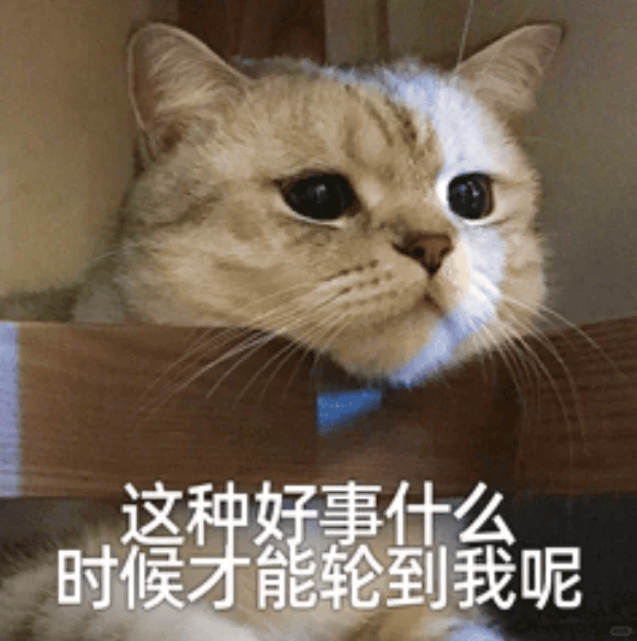学生期待暑假