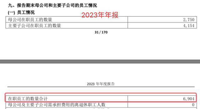 澳柯玛2024年年报数据