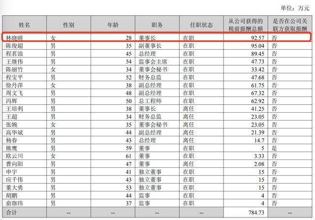 成都路桥2024年年报部分截图