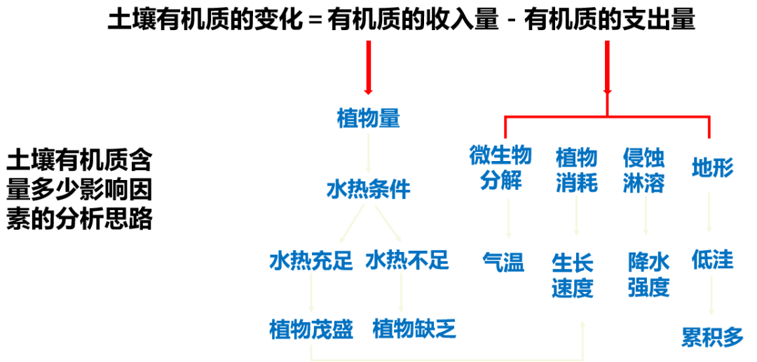 土壤剖面结构