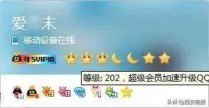 爱芥末的QQ等级