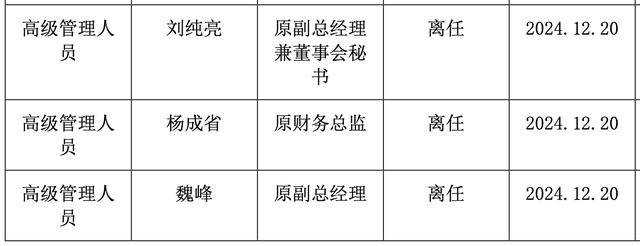 国投证券2024年年报截图