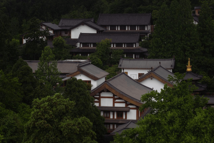 春日图景入围作品
