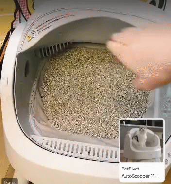 PetPivot与达人合作直播