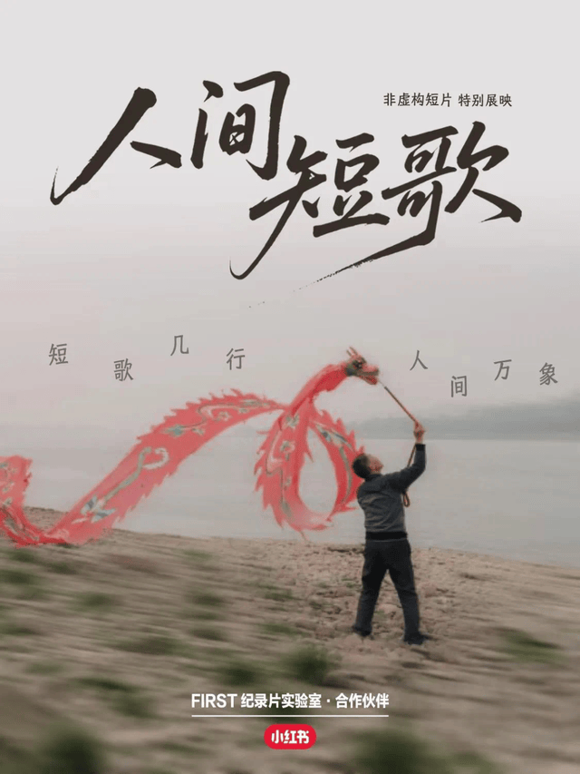 再见阿理海报