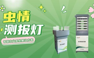 物联网虫情测报：精准农业的新引擎