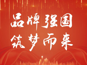 本地服務(wù)型企業(yè)互聯(lián)網(wǎng)形象塑造：挑戰(zhàn)、策略與未來展望