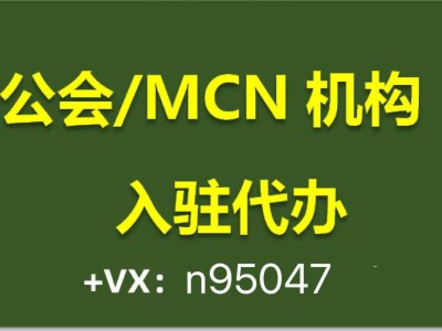 TikTok公會(huì)全球化競(jìng)爭(zhēng)下：內(nèi)容創(chuàng)新與區(qū)域化運(yùn)營(yíng)策略探秘