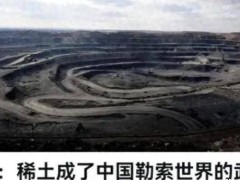 德媒指责中国稀土管控：真相是依赖下的焦虑还是环保的呼唤？