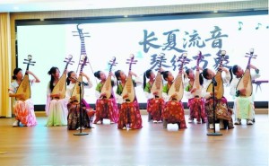 “琴音绕梁，万象更新”琵琶公益课汇报演出燃爆菏泽文化宫