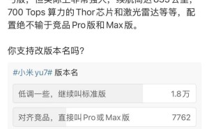 雷军发起小米YU7命名投票，标准版以高票胜出