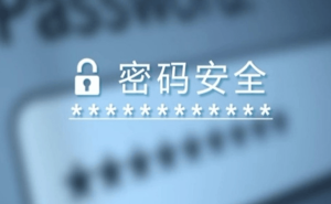 数字时代，携手共建网络安全，守护我们的数字家园