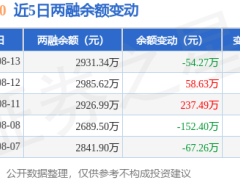 纳指100融资动态：8月13日净买入下滑，融资融券余额近三千万元