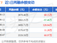 德国ETF融资动态：8月13日净买入68万，融资融券余额近3870万元