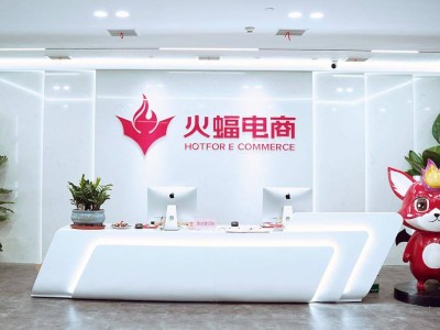 德國家清品牌如何借火蝠電商本土化破局，GMV環(huán)比增長13倍？