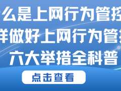 数字化时代，企业如何高效实施上网行为管控？六大策略详解