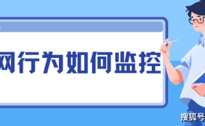2025年主流上网行为监控系统盘点：助力企业高效管理员工网络活动