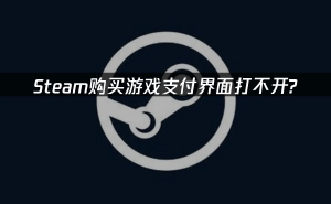 Steam支付界面加载慢？原因及对策一网打尽
