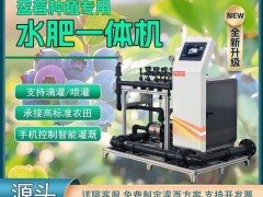 智慧农业新风尚：政策补贴下，农民喜迎科技种田新时代