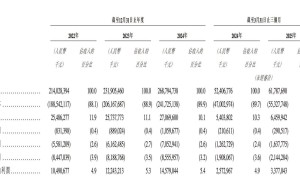 立讯精密赴港IPO，潮汕女首富王来春领航，年薪猛增至733万
