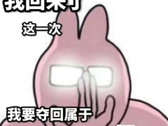 网上号码套餐真相揭秘：与营业厅无异，正规高速无隐藏消费